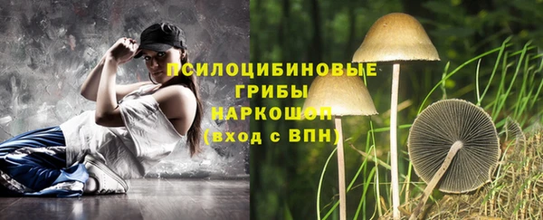spice Абдулино